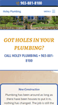 Mobile Screenshot of holeyplumbing.com